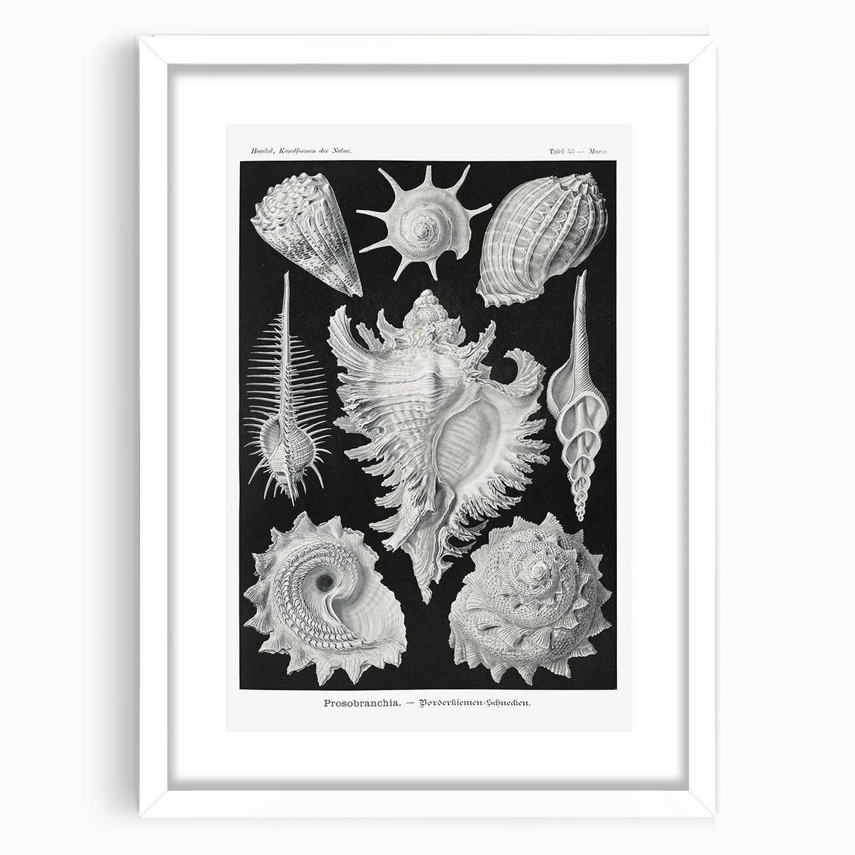 Modern Wall Art: Abstract Faces - Contemporary Minimalist Print