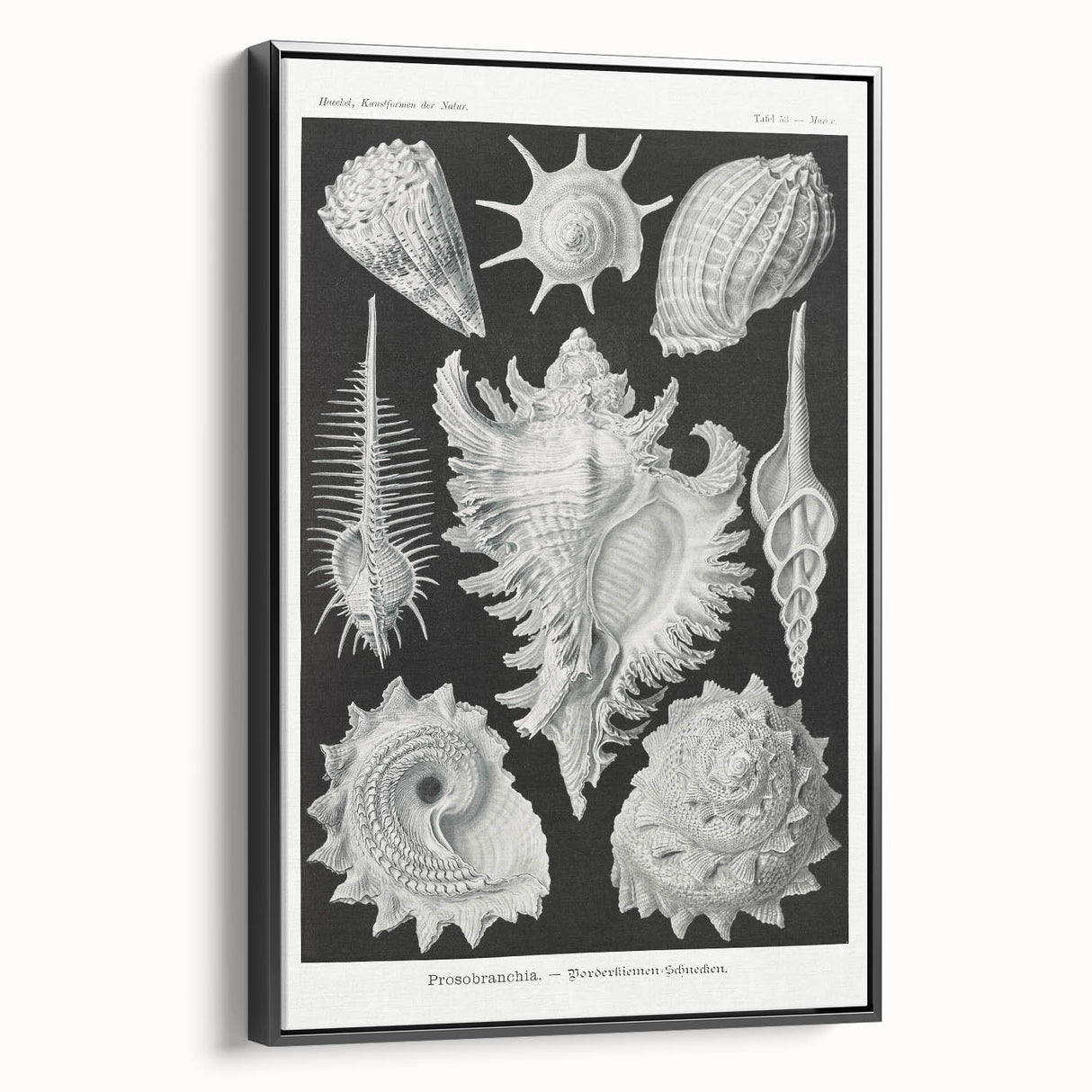 Modern Wall Art: Abstract Faces - Contemporary Minimalist Print