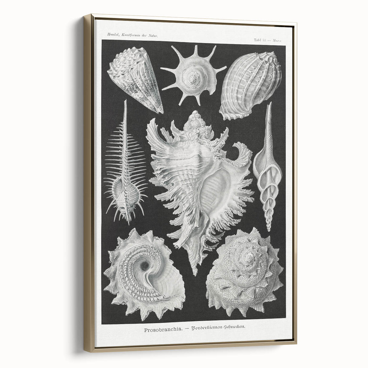 Modern Wall Art: Abstract Faces - Contemporary Minimalist Print