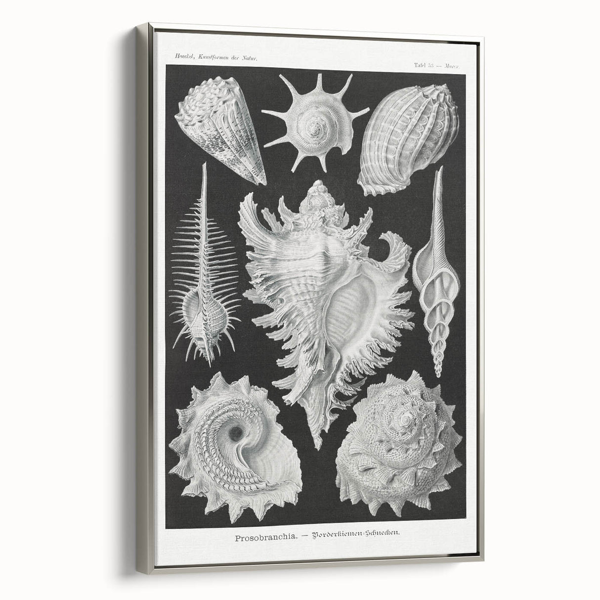 Modern Wall Art: Abstract Faces - Contemporary Minimalist Print