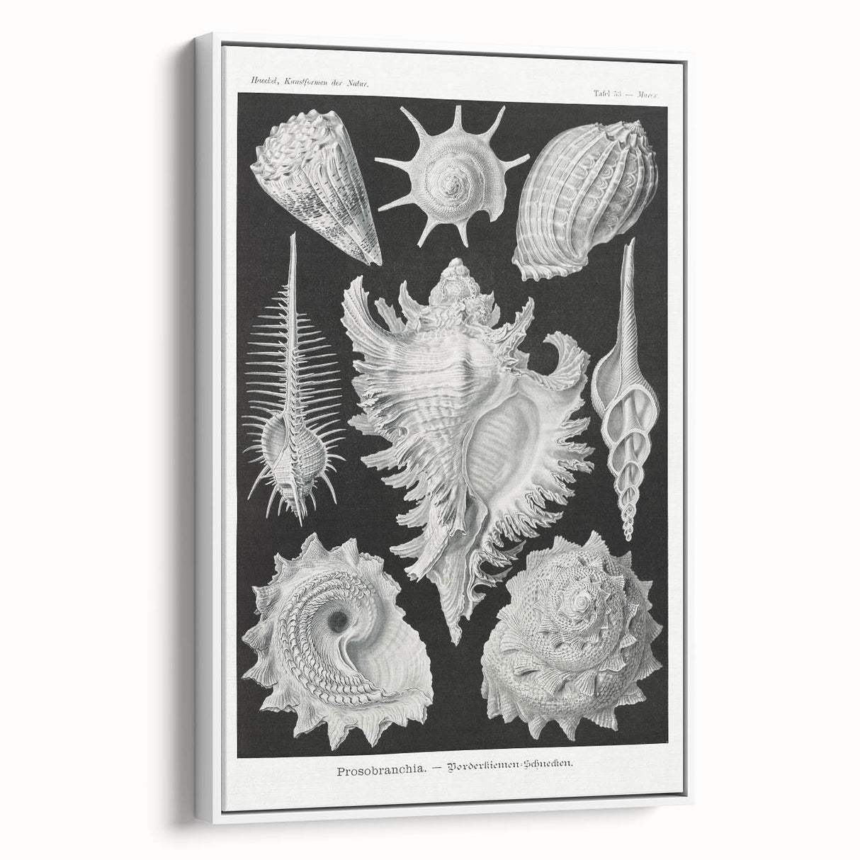 Modern Wall Art: Abstract Faces - Contemporary Minimalist Print