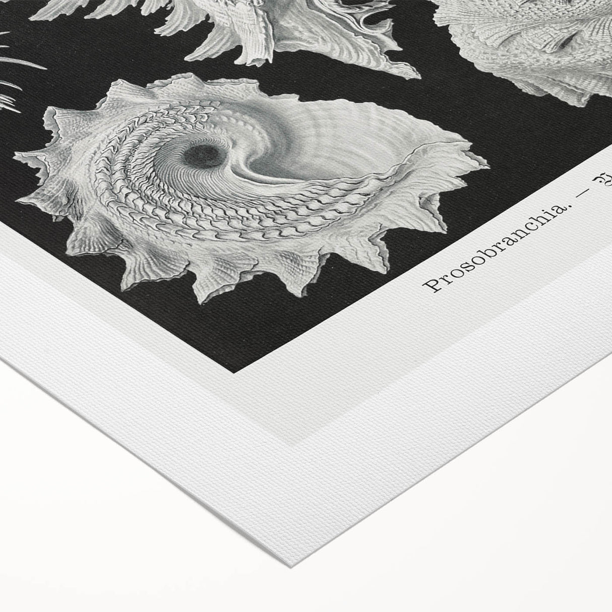 Modern Wall Art: Abstract Faces - Contemporary Minimalist Print