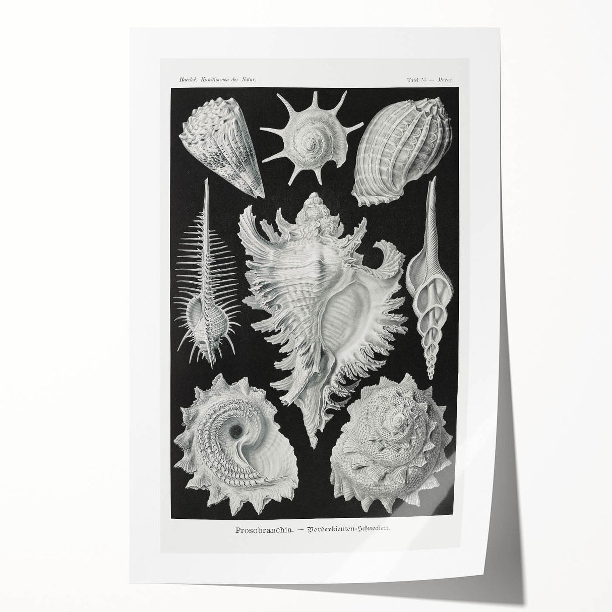 Modern Wall Art: Abstract Faces - Contemporary Minimalist Print