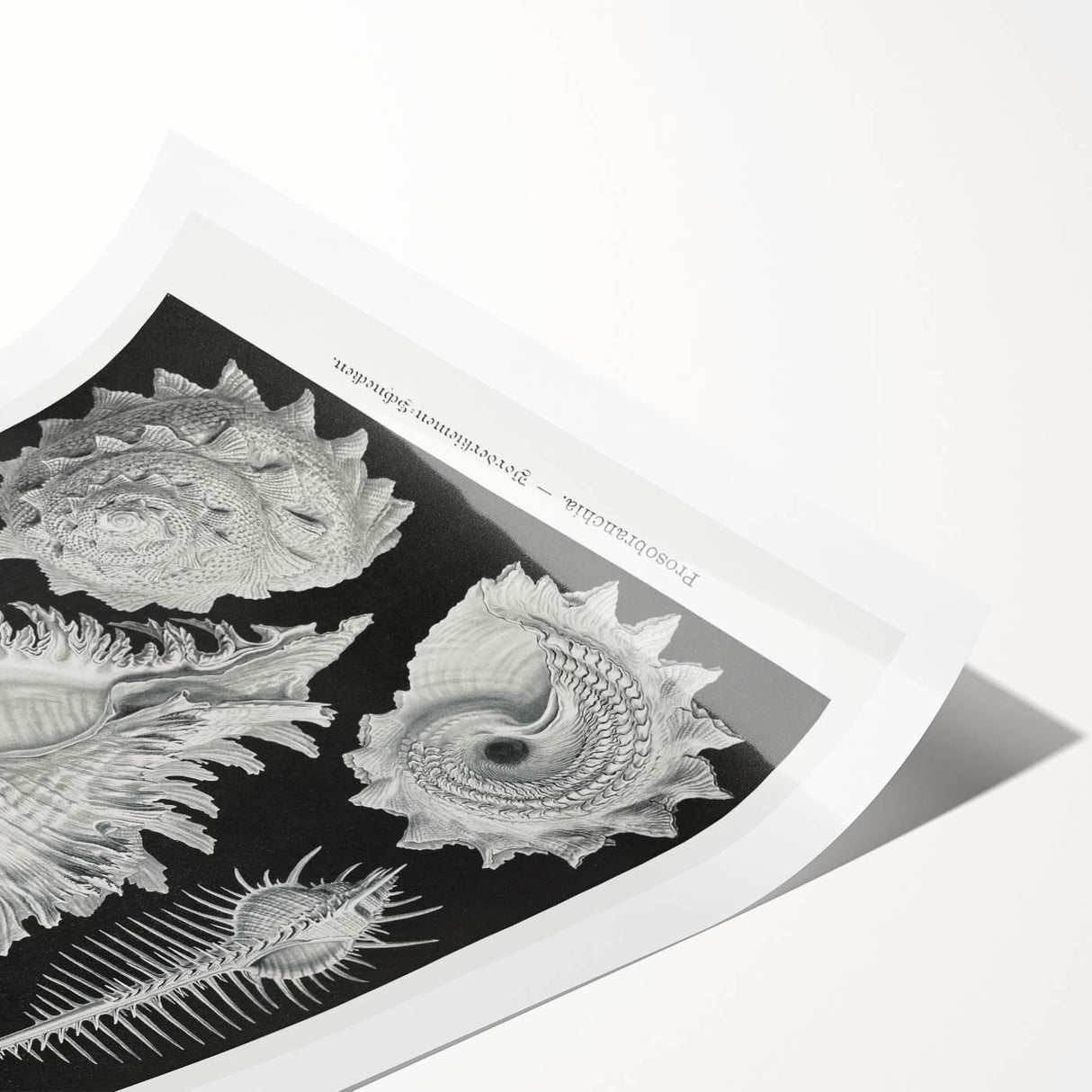 Modern Wall Art: Abstract Faces - Contemporary Minimalist Print