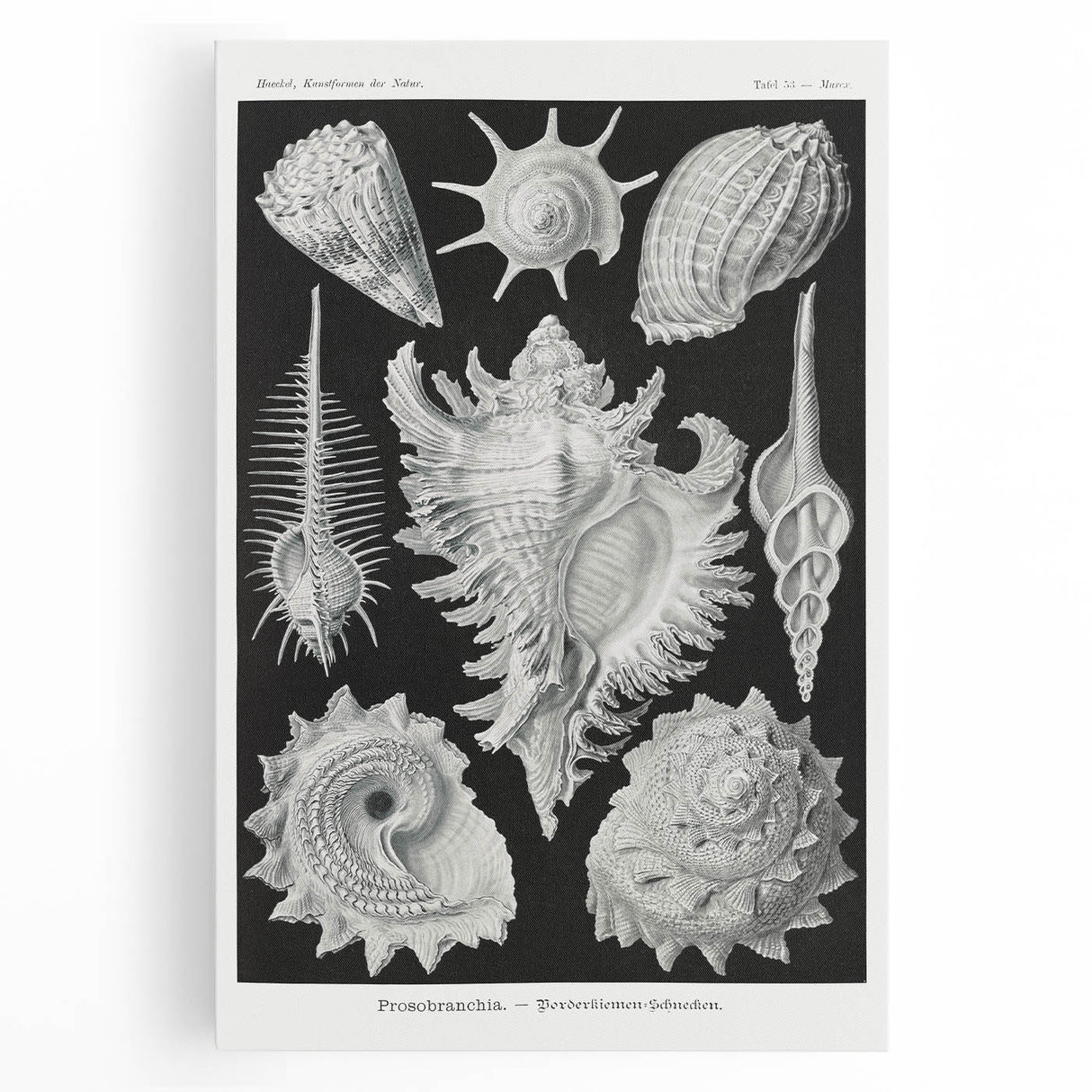 Modern Wall Art: Abstract Faces - Contemporary Minimalist Print