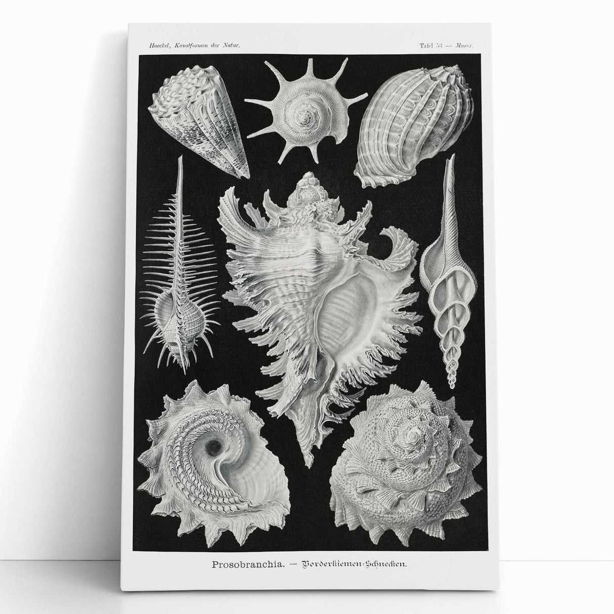 Modern Wall Art: Abstract Faces - Contemporary Minimalist Print