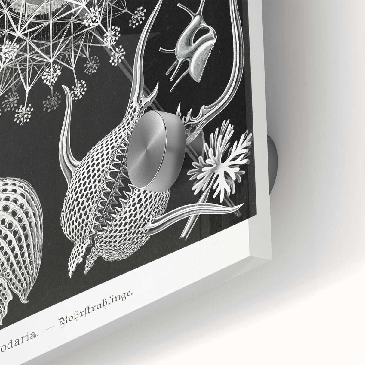 Abstract Modern Art – Bold Red and Black Design on Acrylic Glass