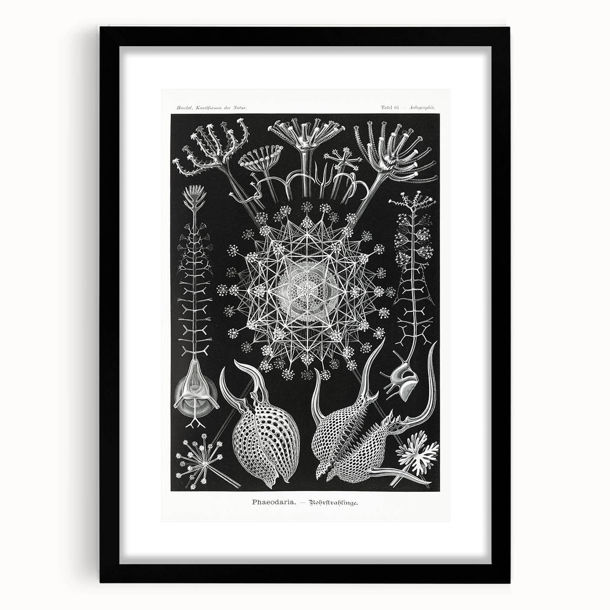 Abstract Modern Art – Bold Red and Black Design on Acrylic Glass