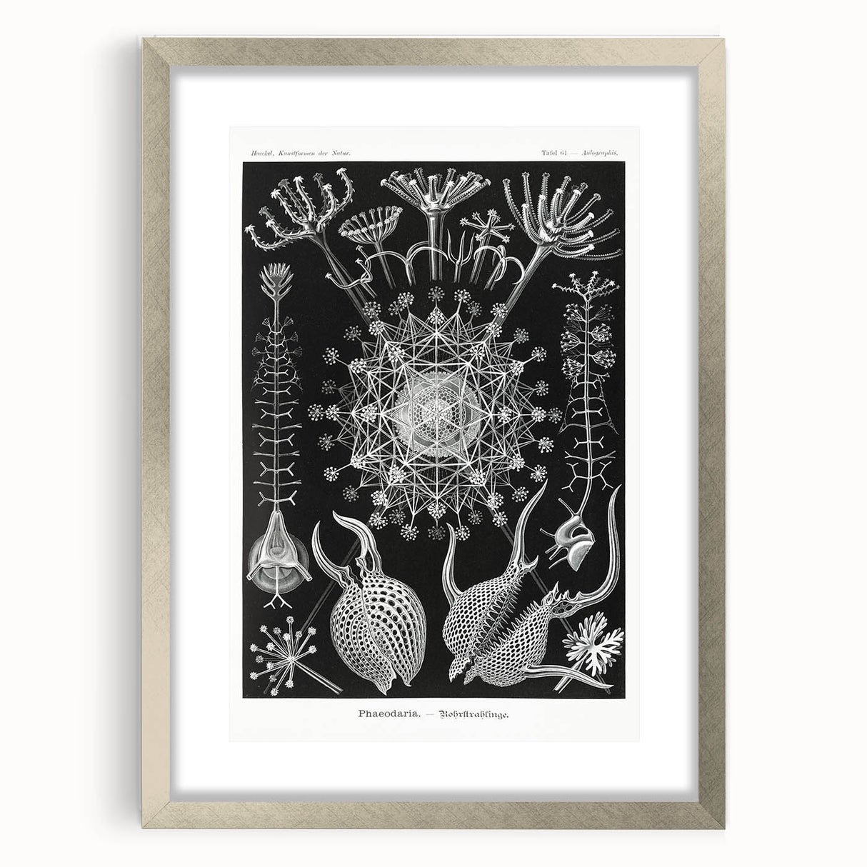 Abstract Modern Art – Bold Red and Black Design on Acrylic Glass