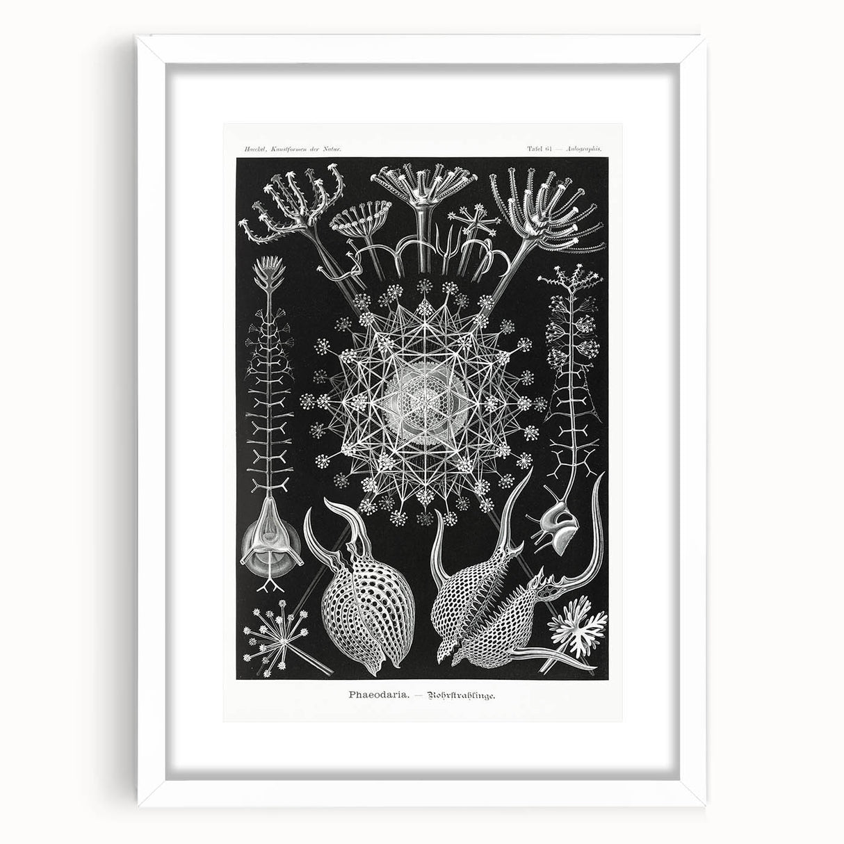 Abstract Modern Art – Bold Red and Black Design on Acrylic Glass