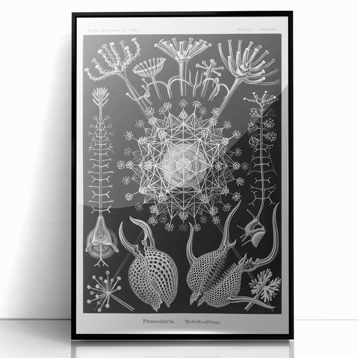 Abstract Modern Art – Bold Red and Black Design on Acrylic Glass