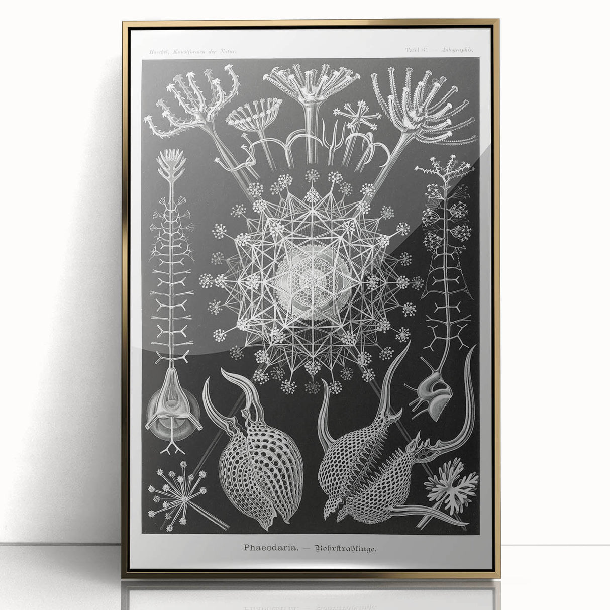 Abstract Modern Art – Bold Red and Black Design on Acrylic Glass