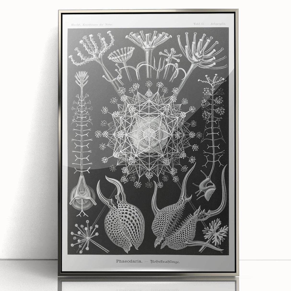 Abstract Modern Art – Bold Red and Black Design on Acrylic Glass