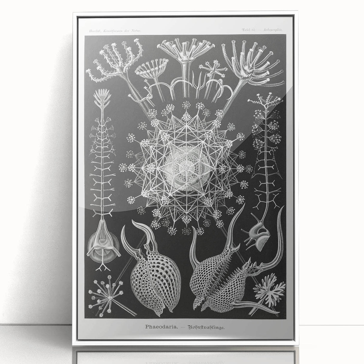 Abstract Modern Art – Bold Red and Black Design on Acrylic Glass