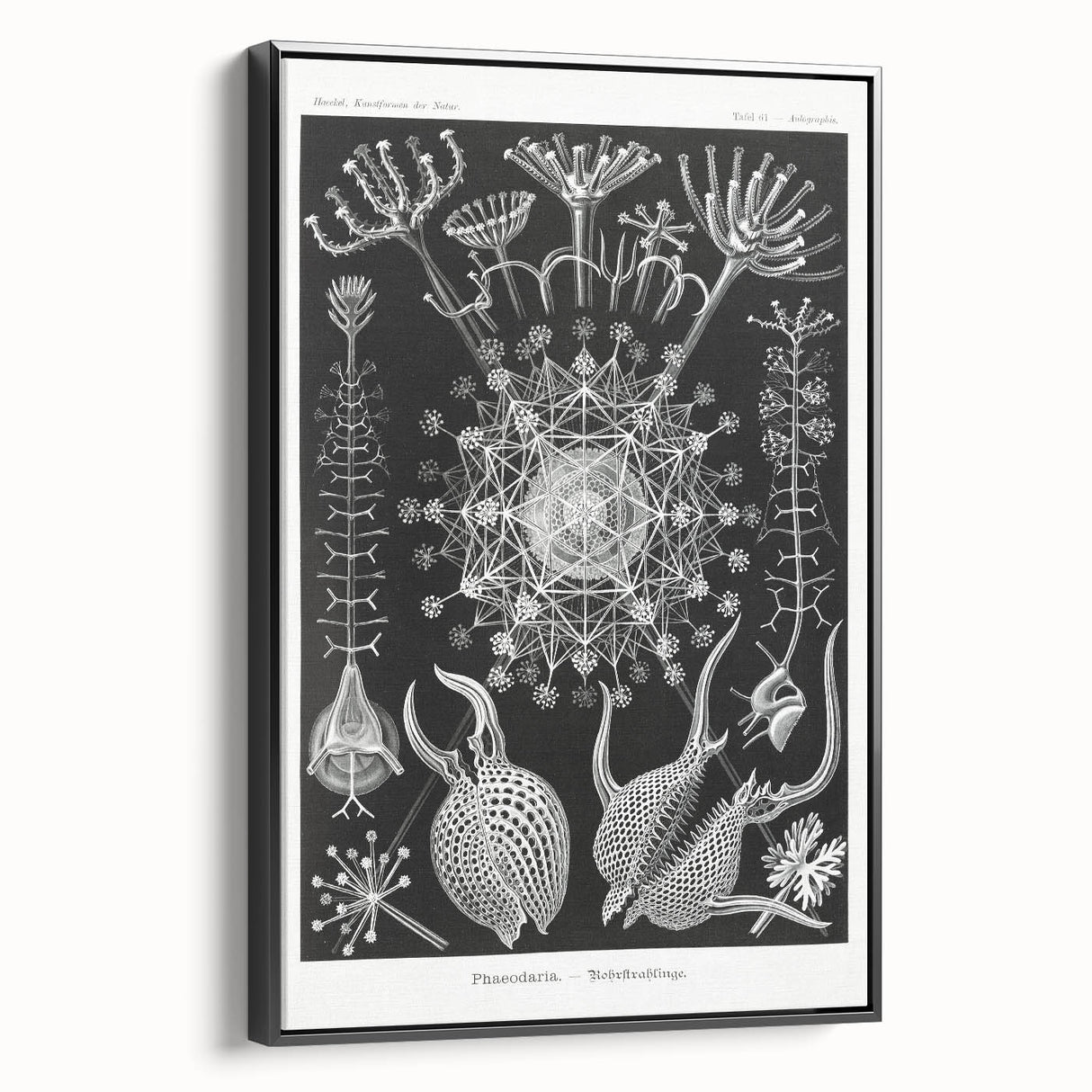 Abstract Modern Art – Bold Red and Black Design on Acrylic Glass