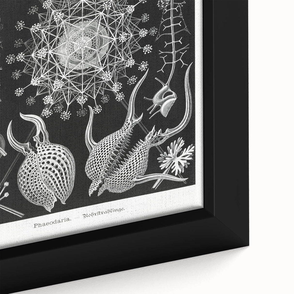 Abstract Modern Art – Bold Red and Black Design on Acrylic Glass