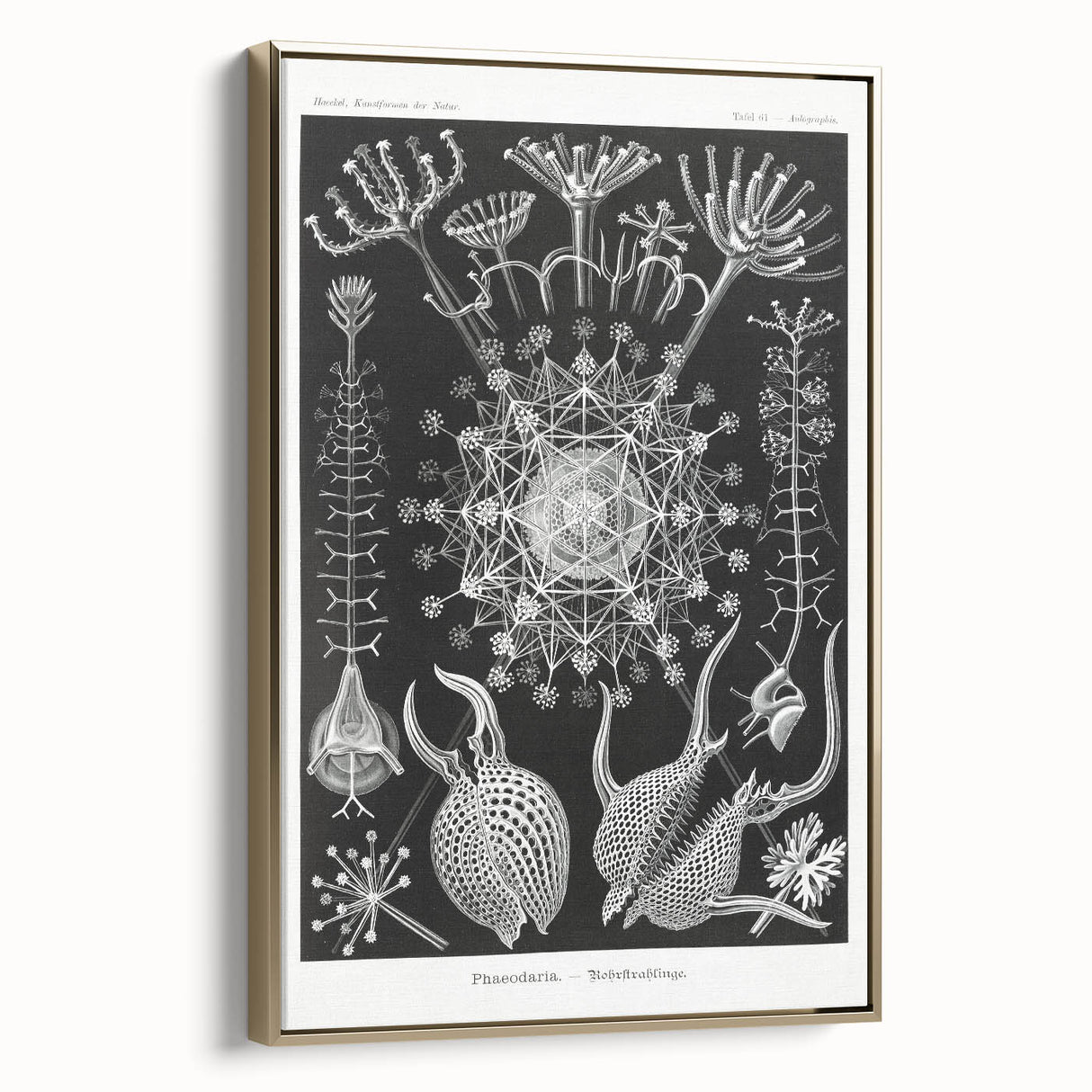 Abstract Modern Art – Bold Red and Black Design on Acrylic Glass