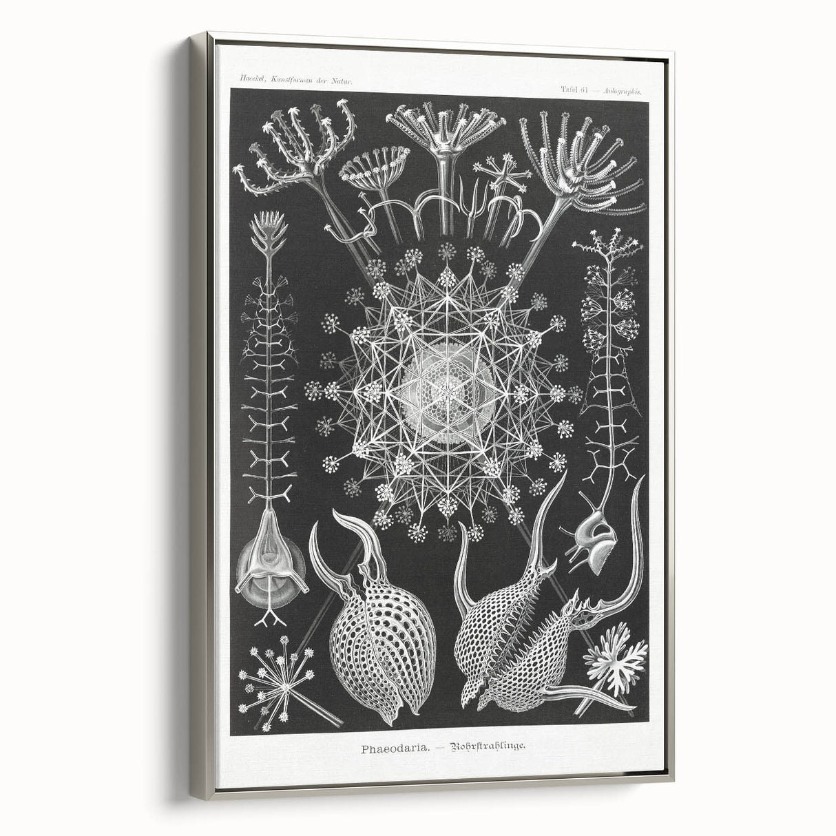 Abstract Modern Art – Bold Red and Black Design on Acrylic Glass