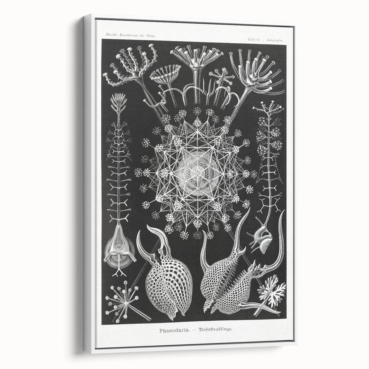 Abstract Modern Art – Bold Red and Black Design on Acrylic Glass