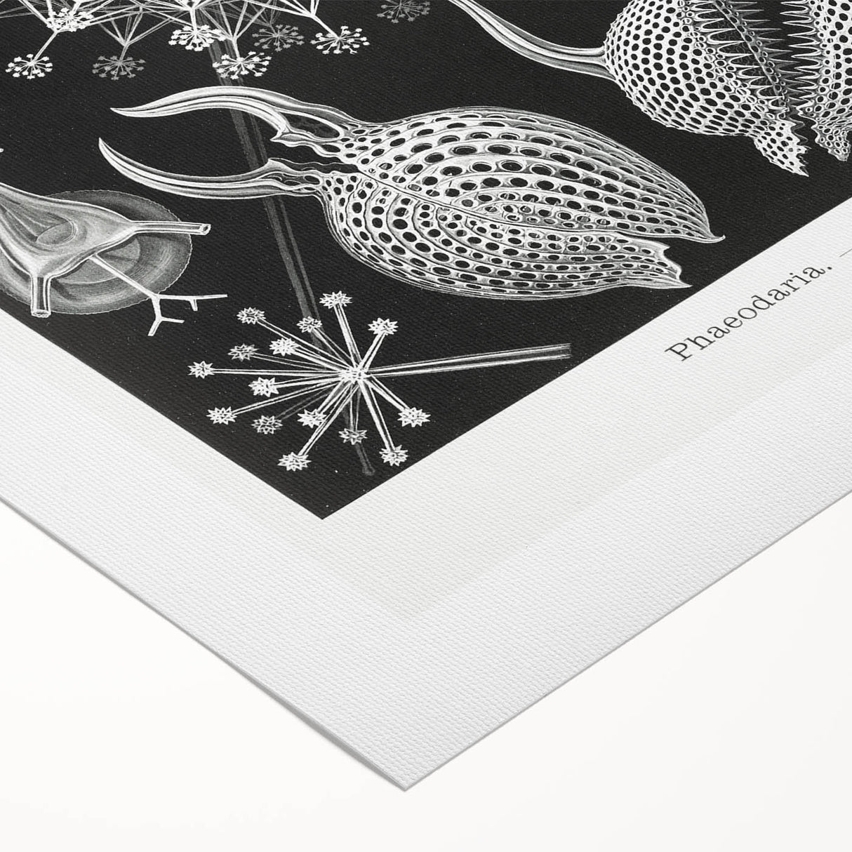 Abstract Modern Art – Bold Red and Black Design on Acrylic Glass