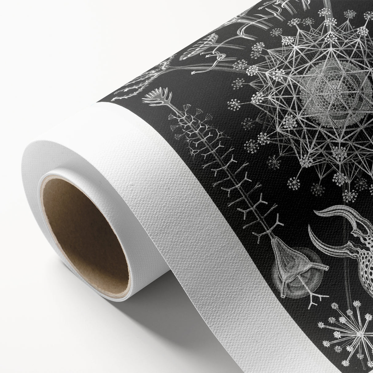 Abstract Modern Art – Bold Red and Black Design on Acrylic Glass