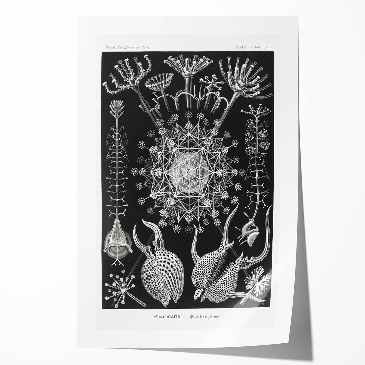 Abstract Modern Art – Bold Red and Black Design on Acrylic Glass