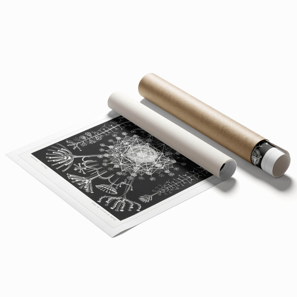 Abstract Modern Art – Bold Red and Black Design on Acrylic Glass