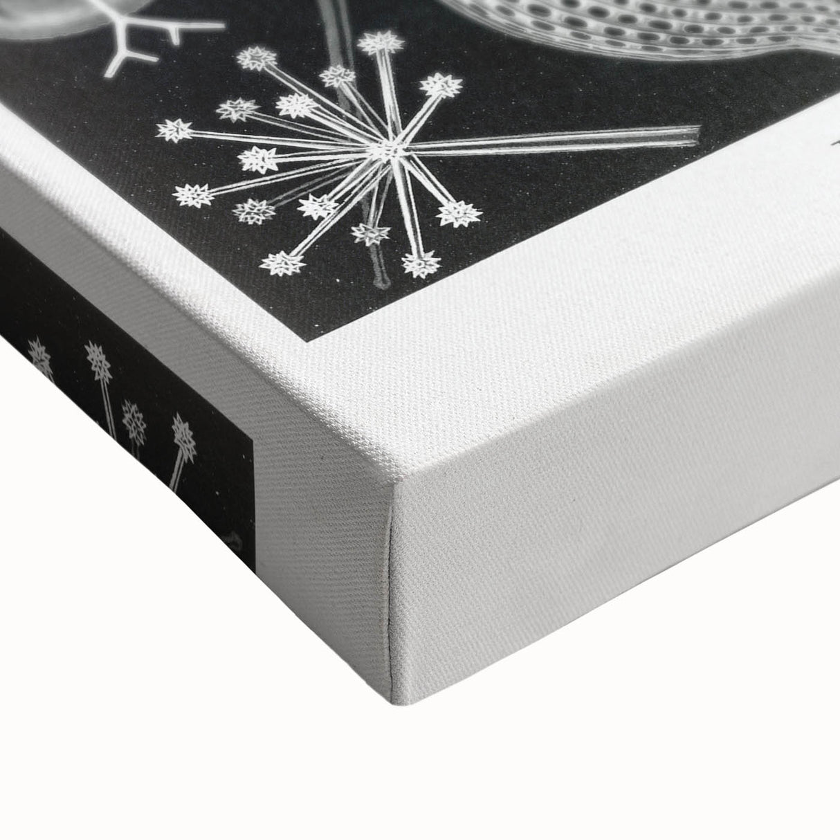 Abstract Modern Art – Bold Red and Black Design on Acrylic Glass