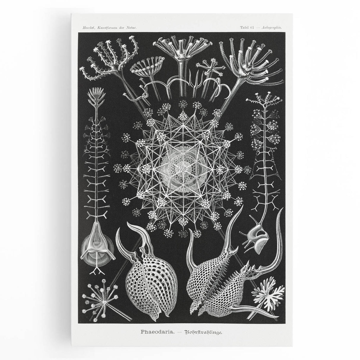 Abstract Modern Art – Bold Red and Black Design on Acrylic Glass