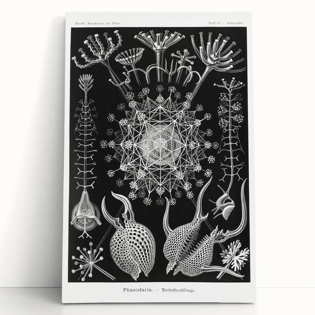 Abstract Modern Art – Bold Red and Black Design on Acrylic Glass