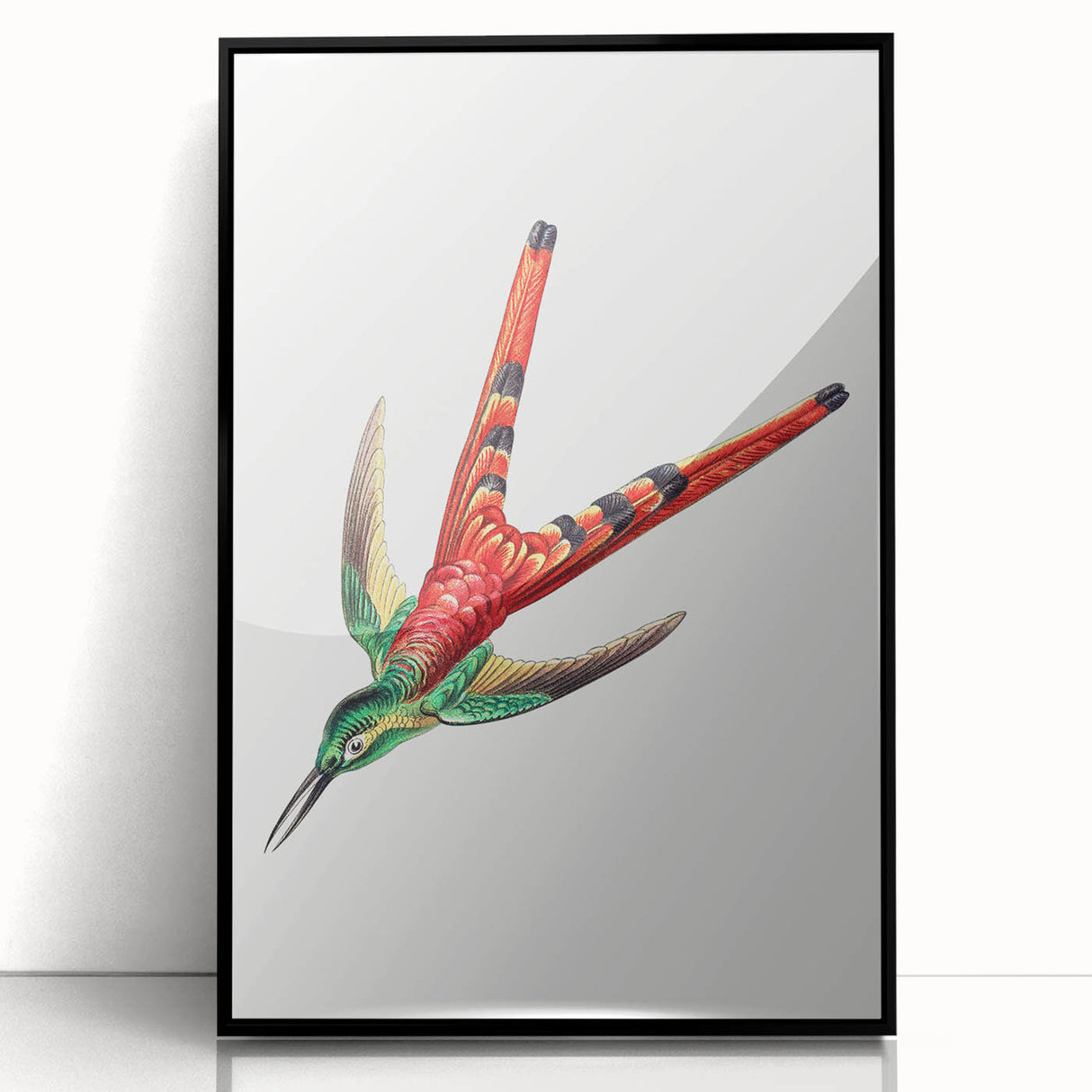 Modern Wall Art - Colorful Hummingbird | Contemporary Nature Print