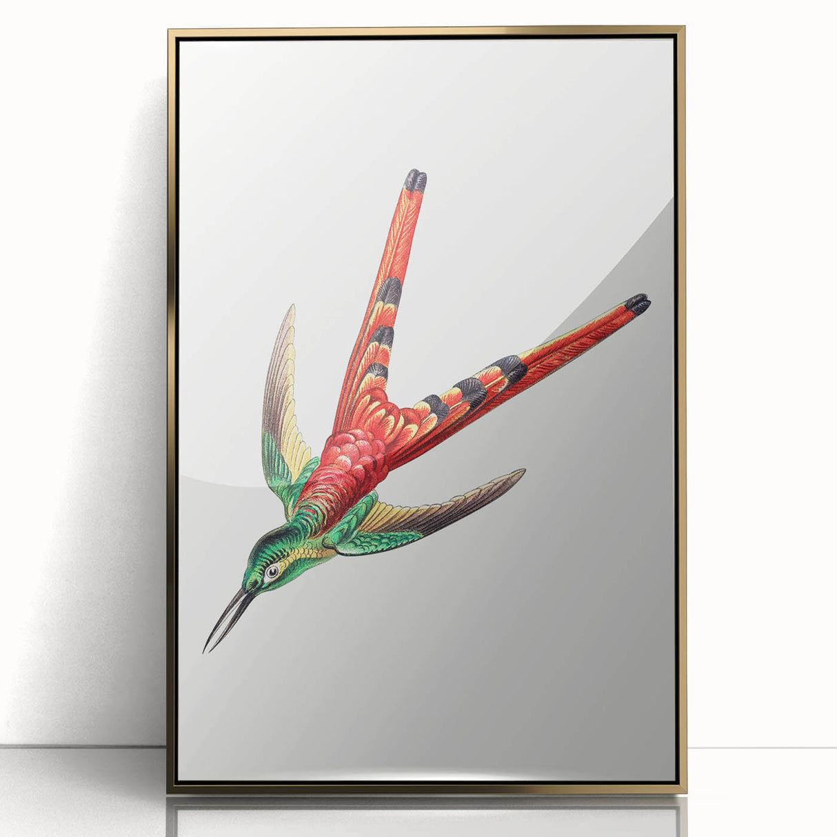 Modern Wall Art - Colorful Hummingbird | Contemporary Nature Print