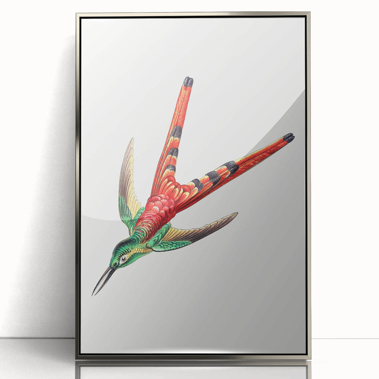 Modern Wall Art - Colorful Hummingbird | Contemporary Nature Print