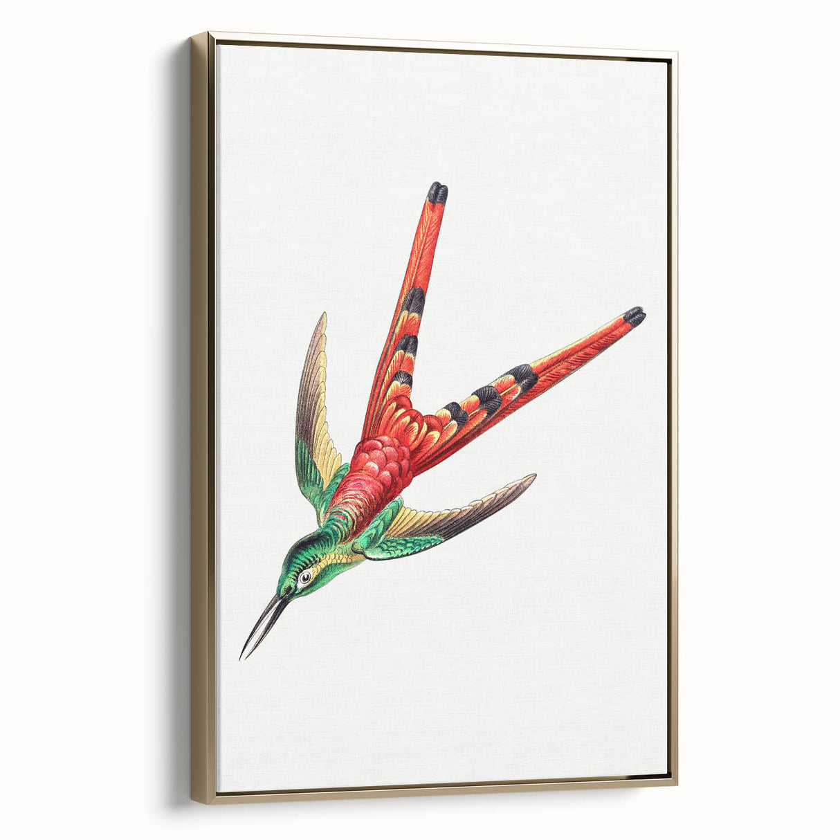 Modern Wall Art - Colorful Hummingbird | Contemporary Nature Print