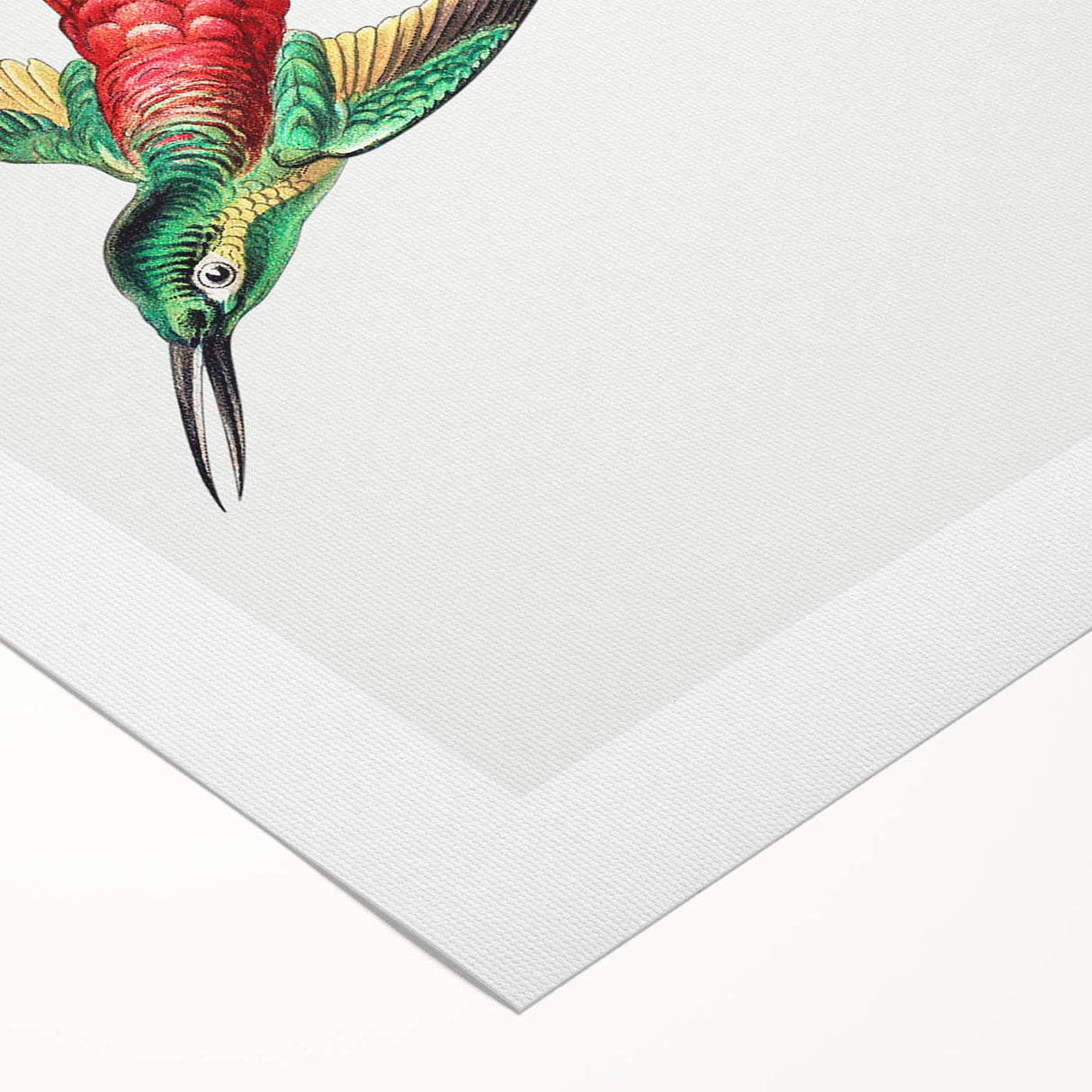 Modern Wall Art - Colorful Hummingbird | Contemporary Nature Print