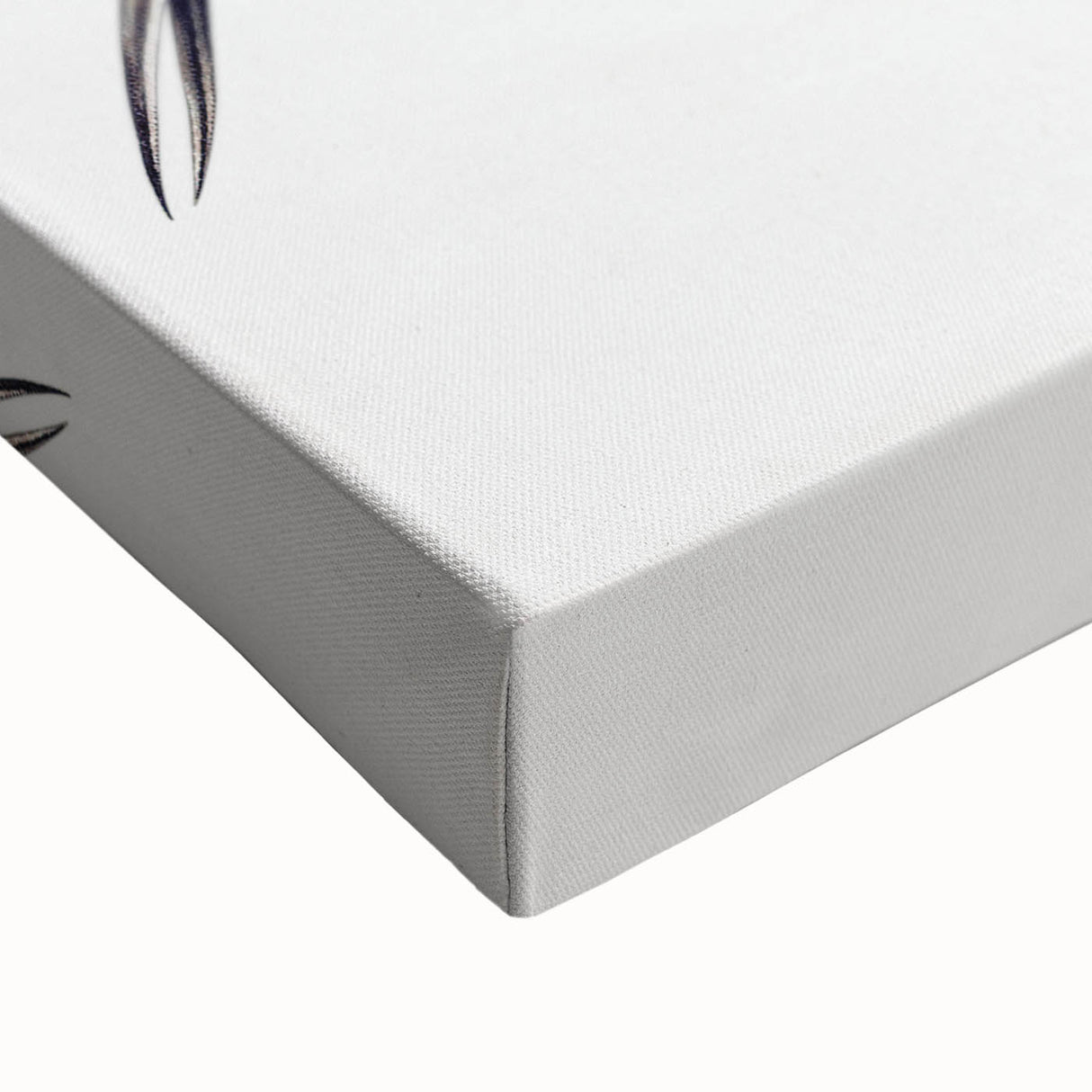 Modern Wall Art - Colorful Hummingbird | Contemporary Nature Print