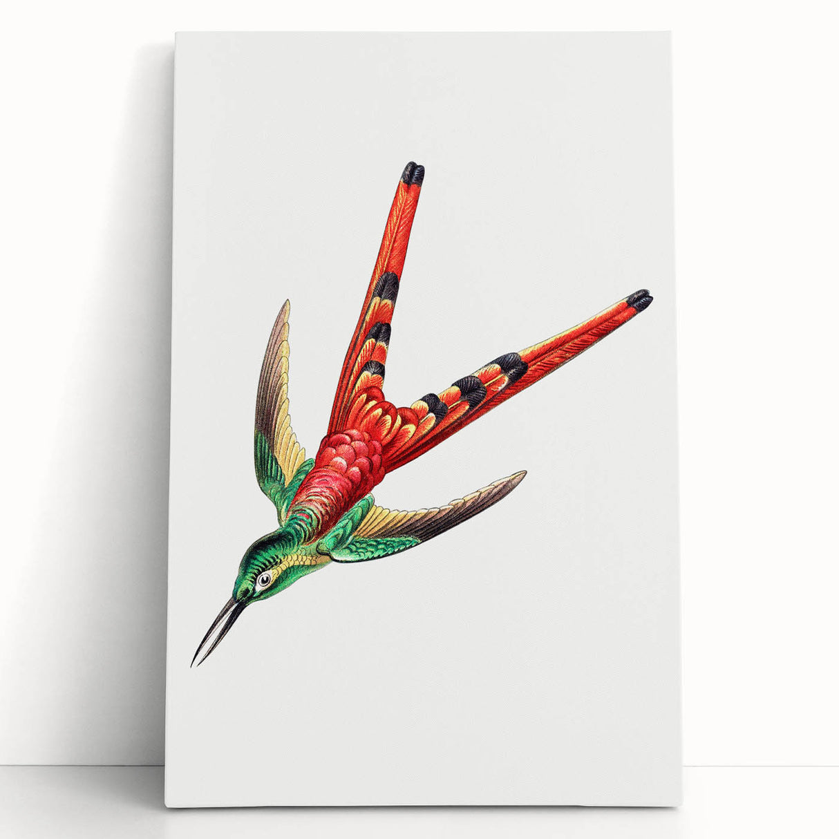Modern Wall Art - Colorful Hummingbird | Contemporary Nature Print