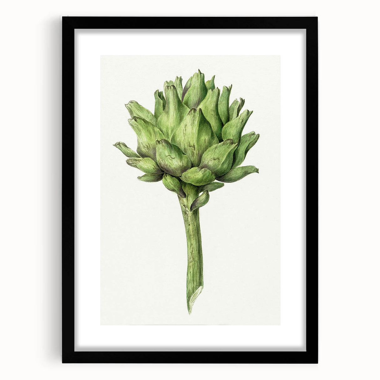 Classic Romantic Artichoke Print - Famous Romantic Era Wall Art
