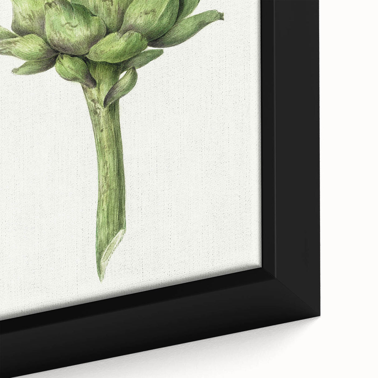 Classic Romantic Artichoke Print - Famous Romantic Era Wall Art