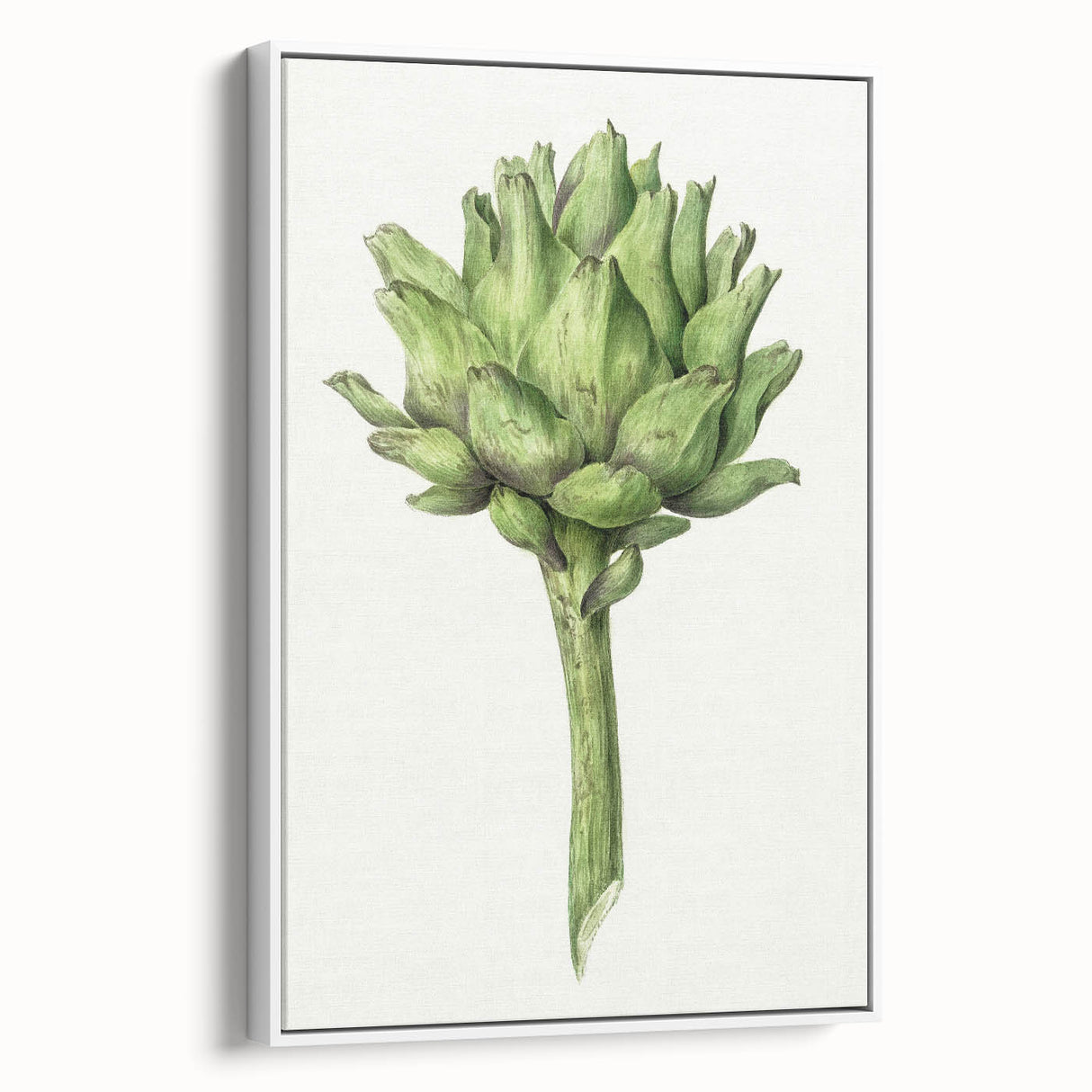 Classic Romantic Artichoke Print - Famous Romantic Era Wall Art