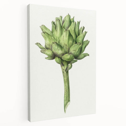 Classic Romantic Artichoke Print - Famous Romantic Era Wall Art