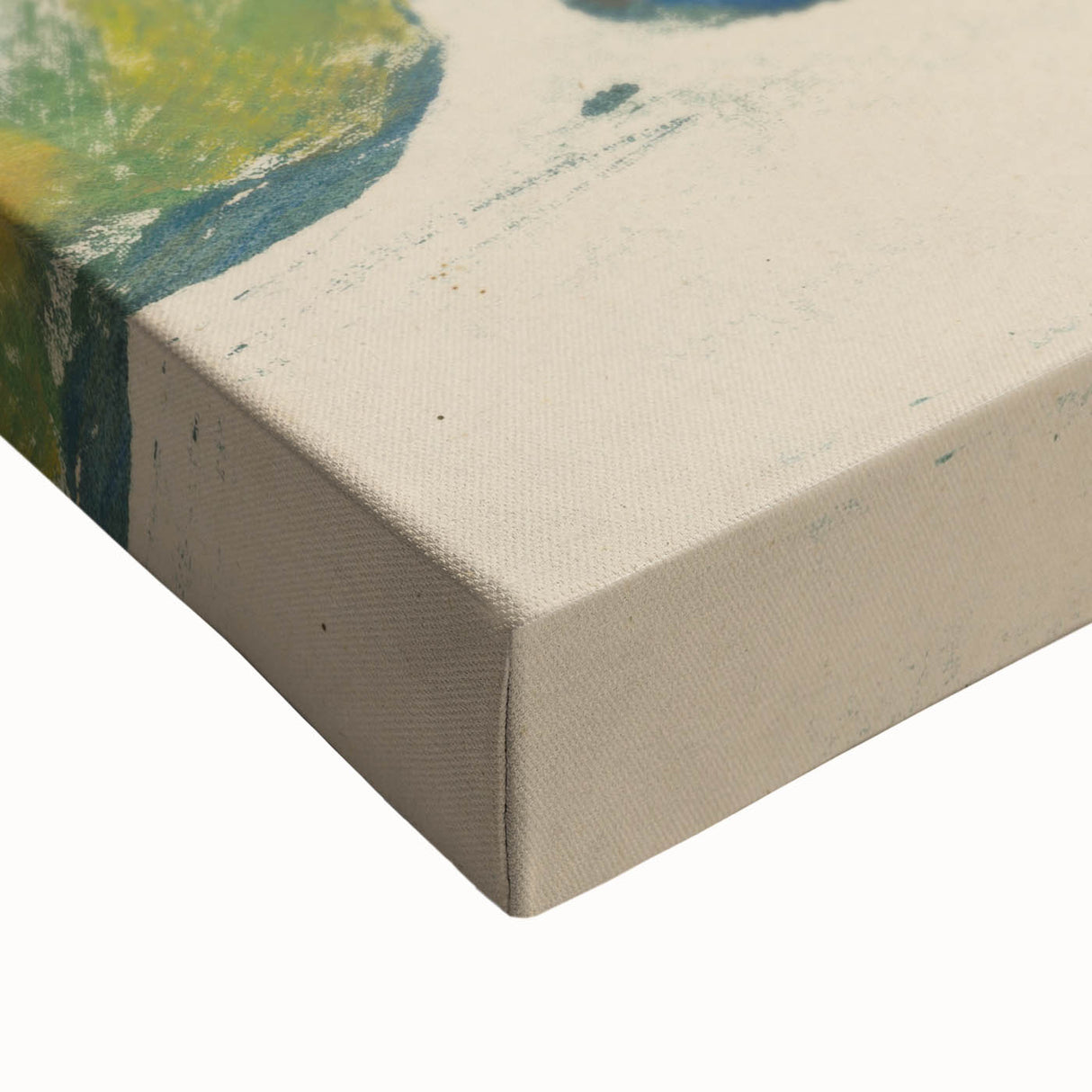 Modern Wall Art - Still Life | Contemporary Nature-Inspired Print