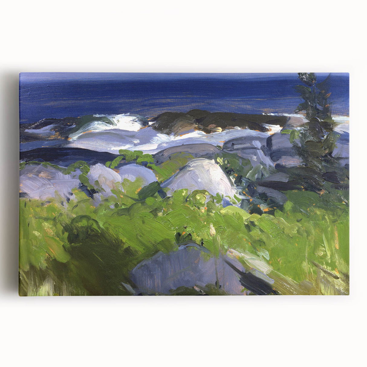 Modern Wall Art - Coastal Landscape with Lush Greenery