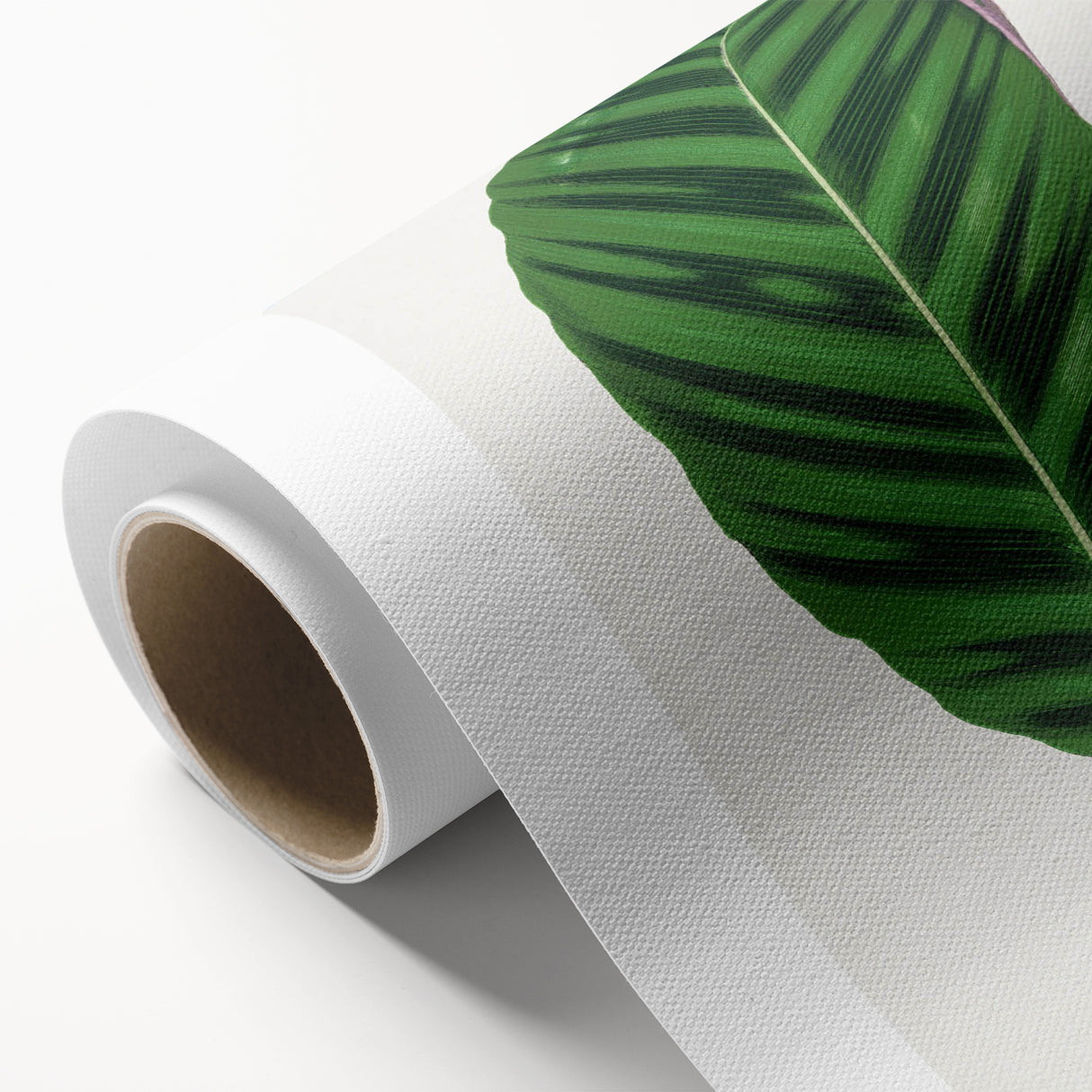 Romantic Calathea Zebrina Leaf - Historical Romanticism Canvas