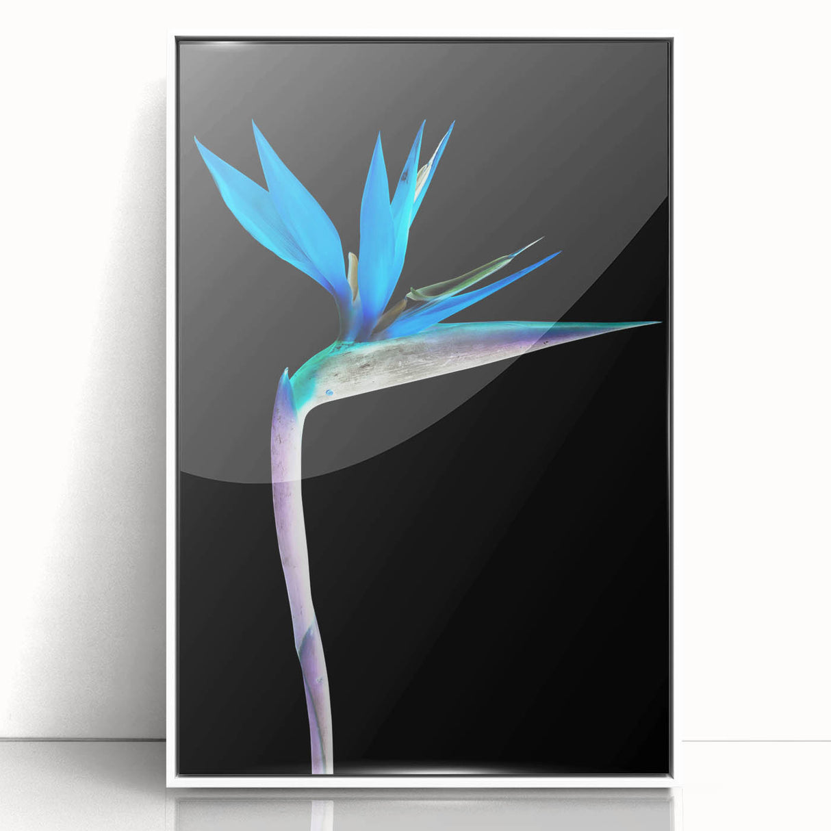 Framed wall art featuring a vibrant Bird of Paradise floral design in a white frame, showcasing rich colors and intricate details, perfect for modern decor.