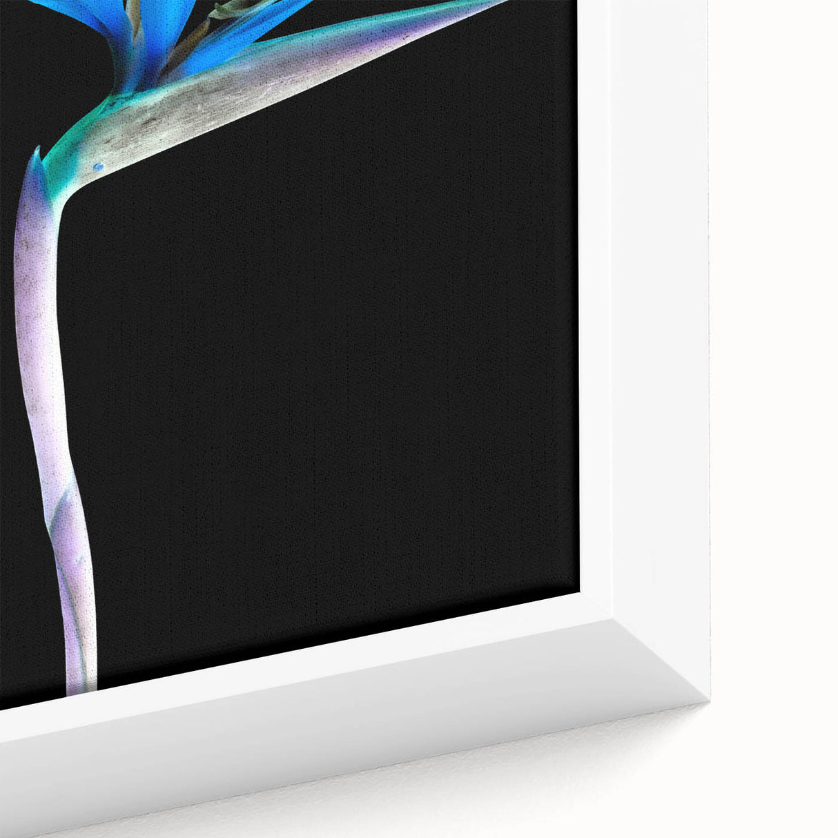 Close-up of framed canvas wall art featuring a vibrant Bird of Paradise design with lush floral elements, showcasing intricate details and vivid colors, ideal for home decor.