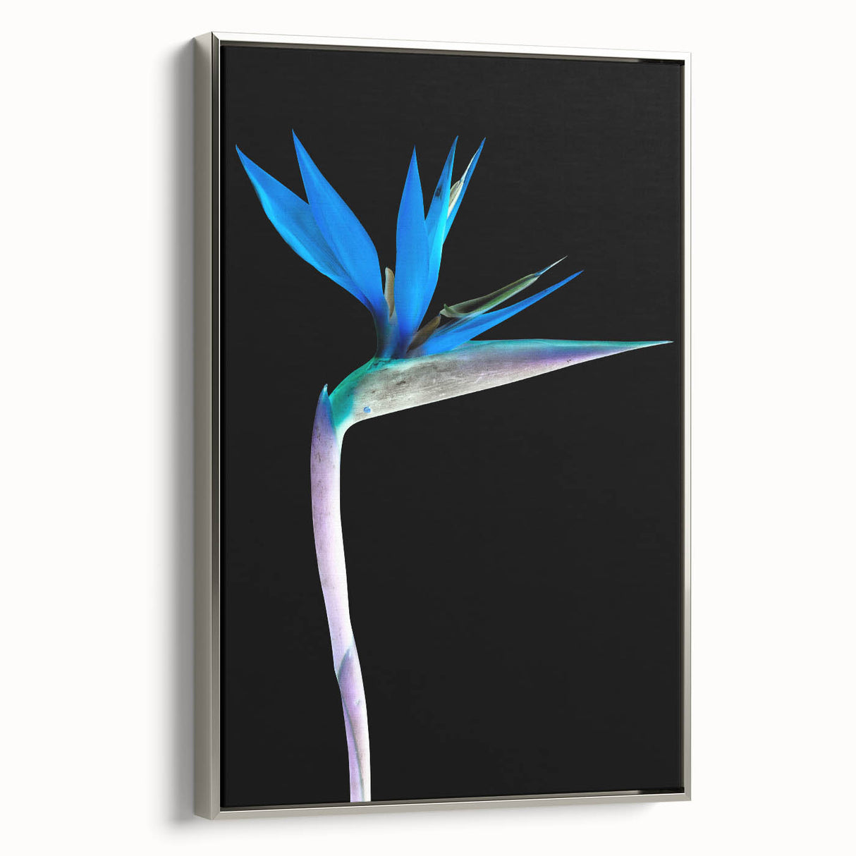 Framed wall art featuring a vibrant Bird of Paradise design with botanical elements, set against a silver frame. Ideal for modern home decor and flower enthusiasts.