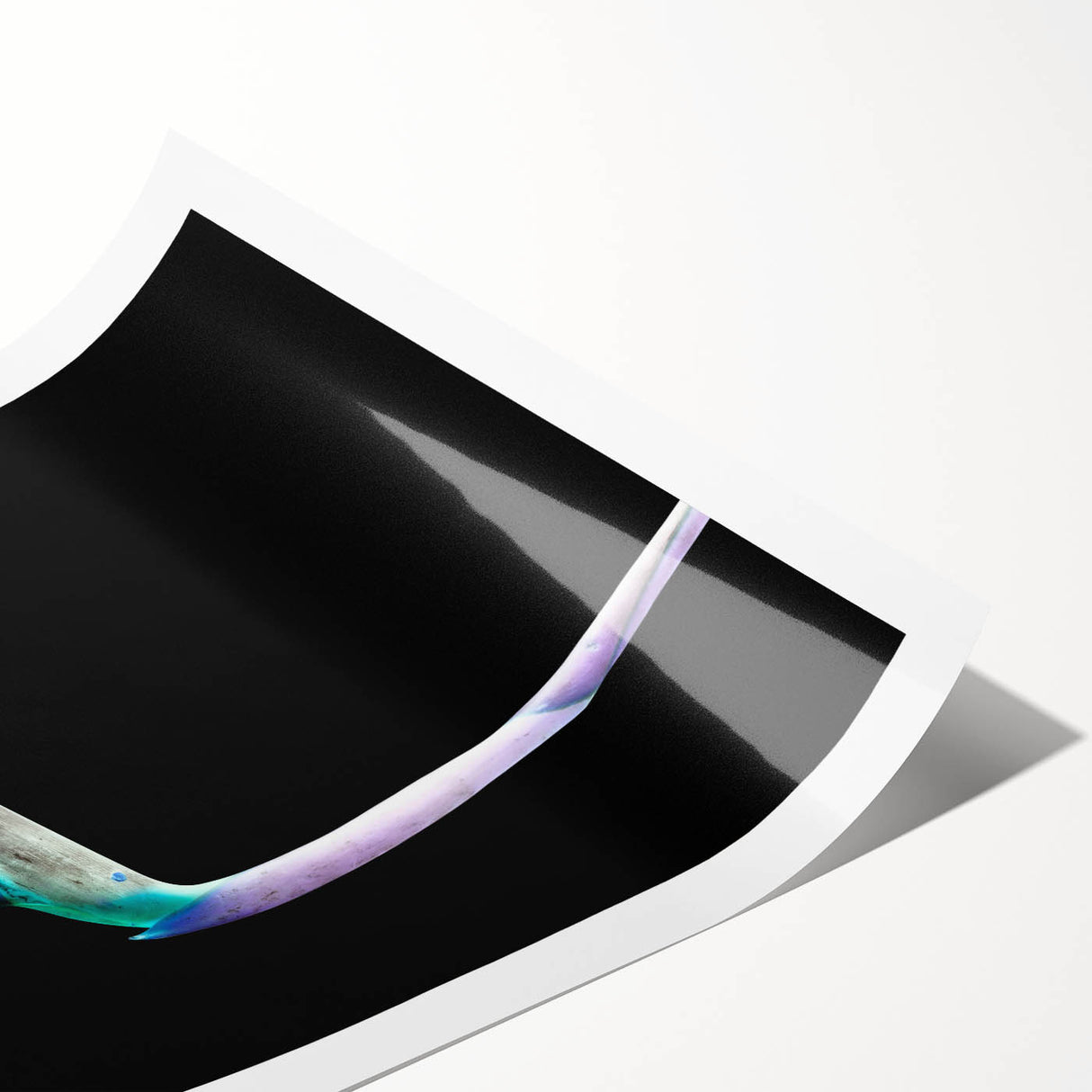 Vibrant wall art print featuring a botanical design of a Bird of Paradise, showcasing vivid colors and intricate details, ideal for enhancing home decor.