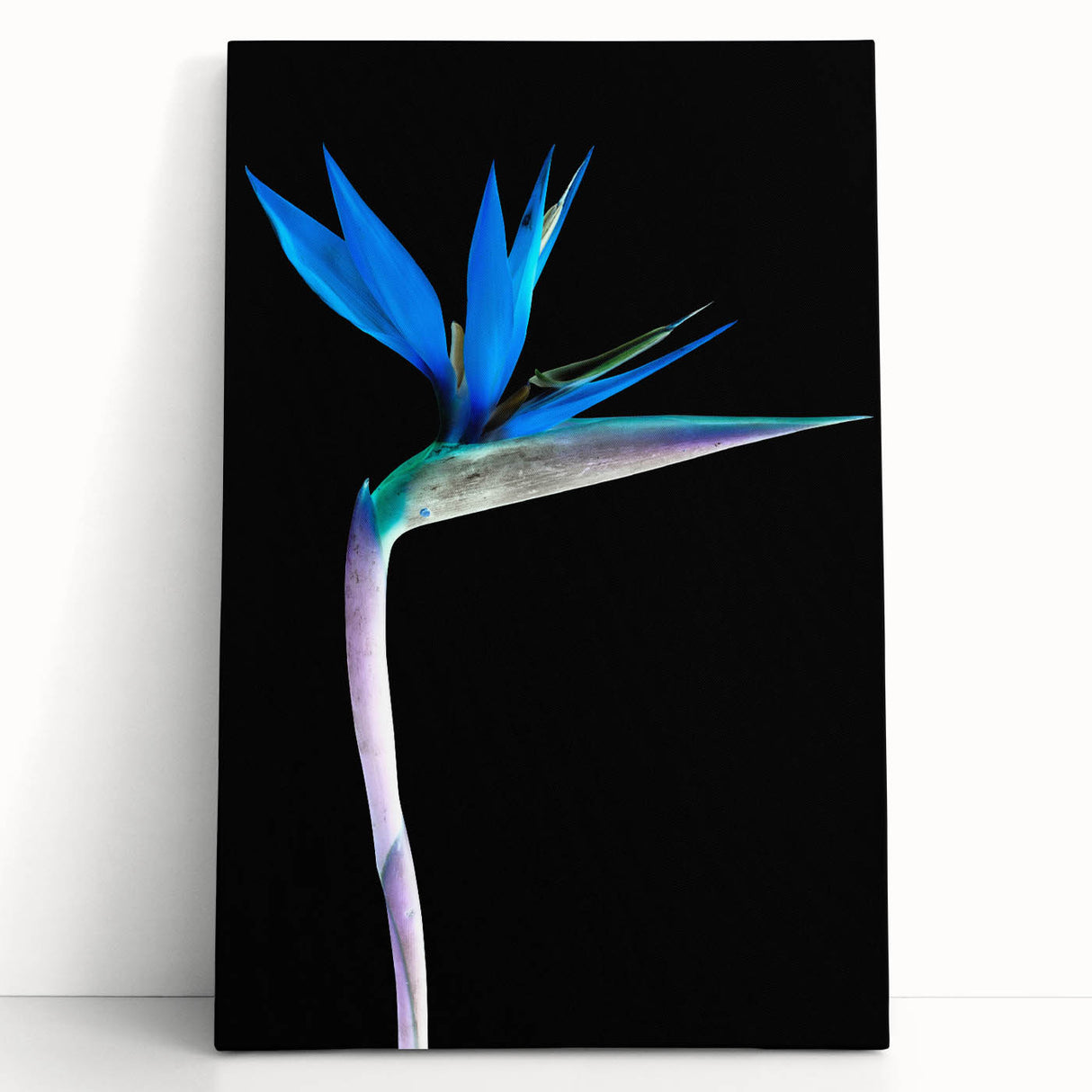 Stretched canvas wall art featuring a vibrant botanical bird of paradise design, showcasing rich colors and intricate details, perfect for home decor enhancement.