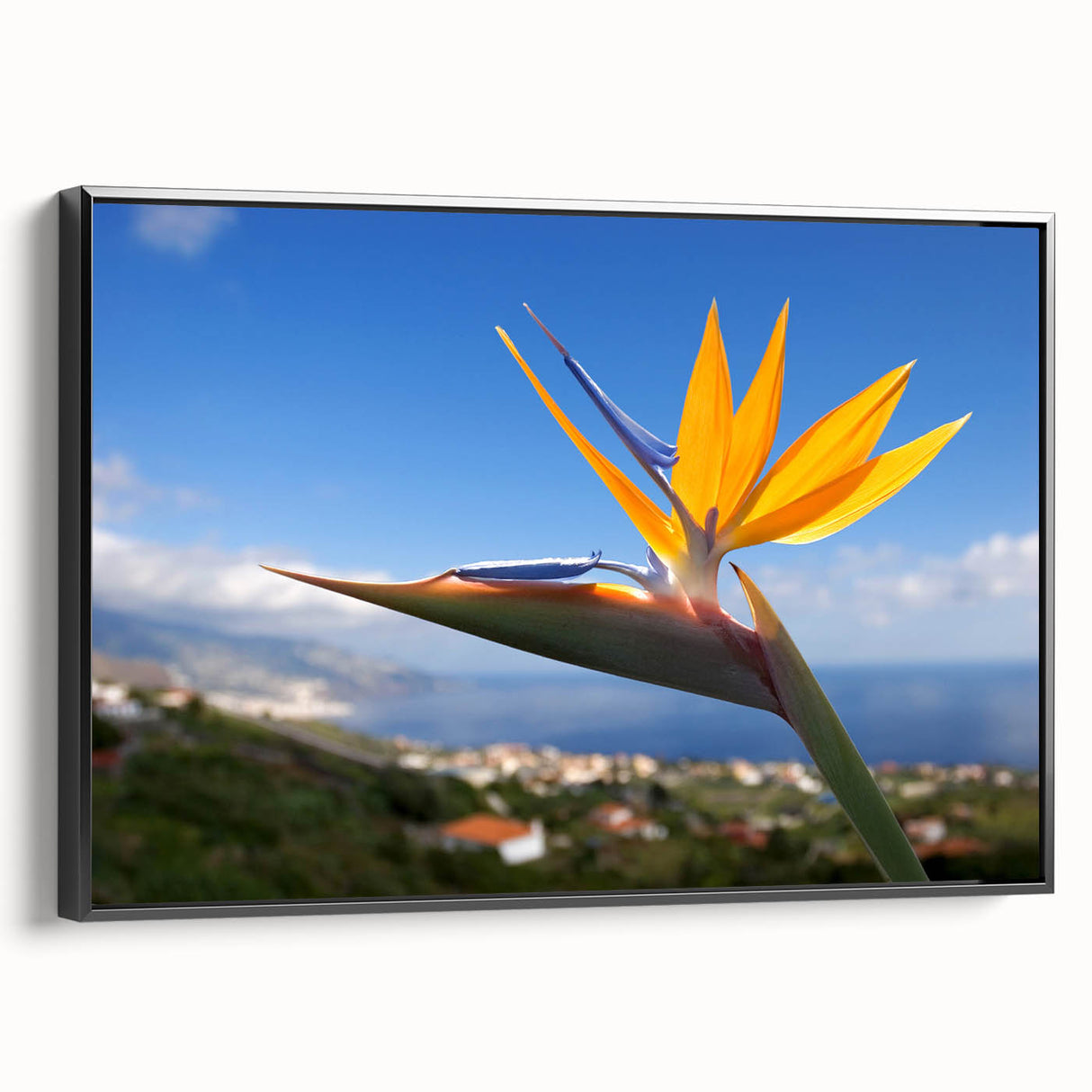 Framed wall art showcasing a vibrant Bird of Paradise design with botanical elements, featuring a sleek black frame and side view detail, ideal for modern decor.